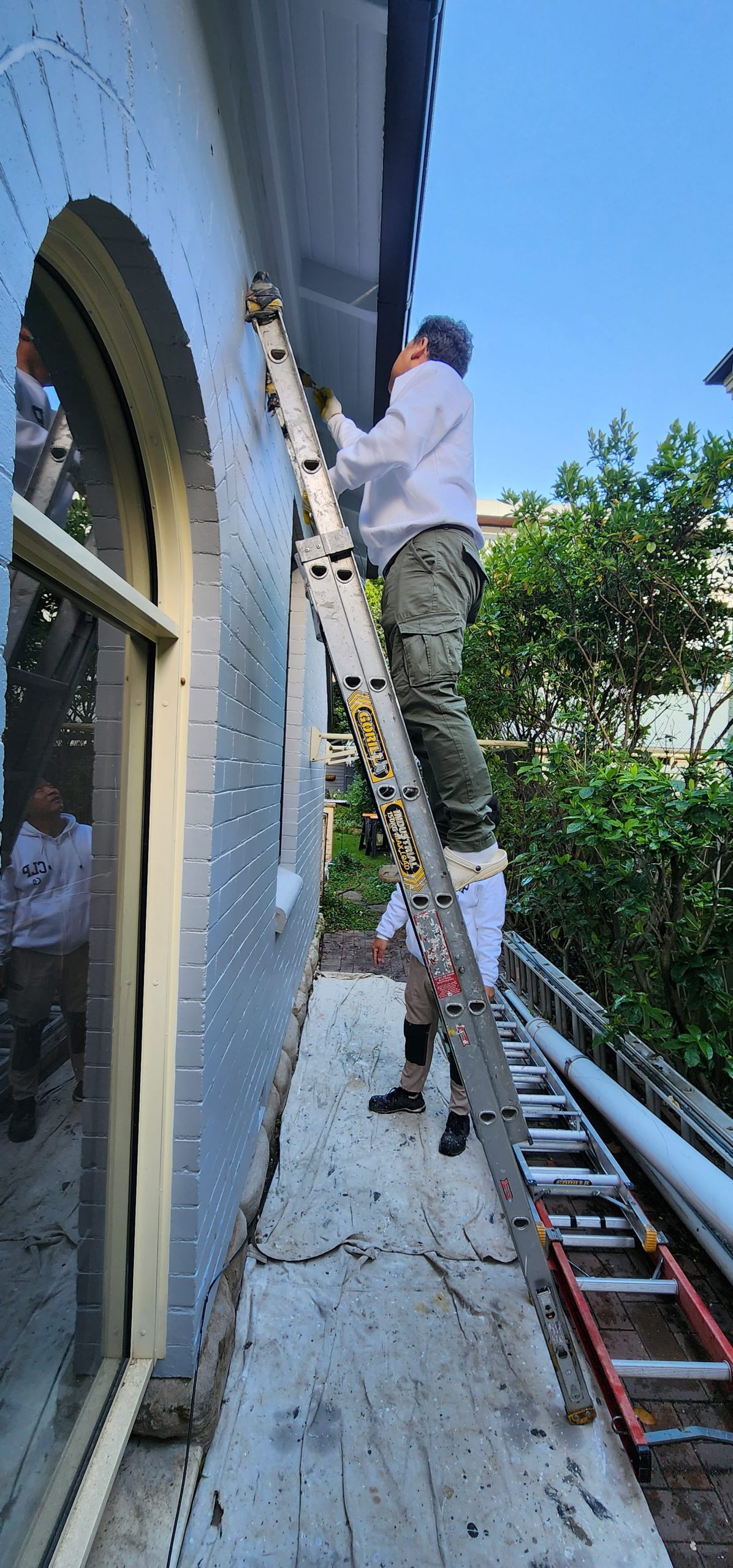 professional painter balmain rotated