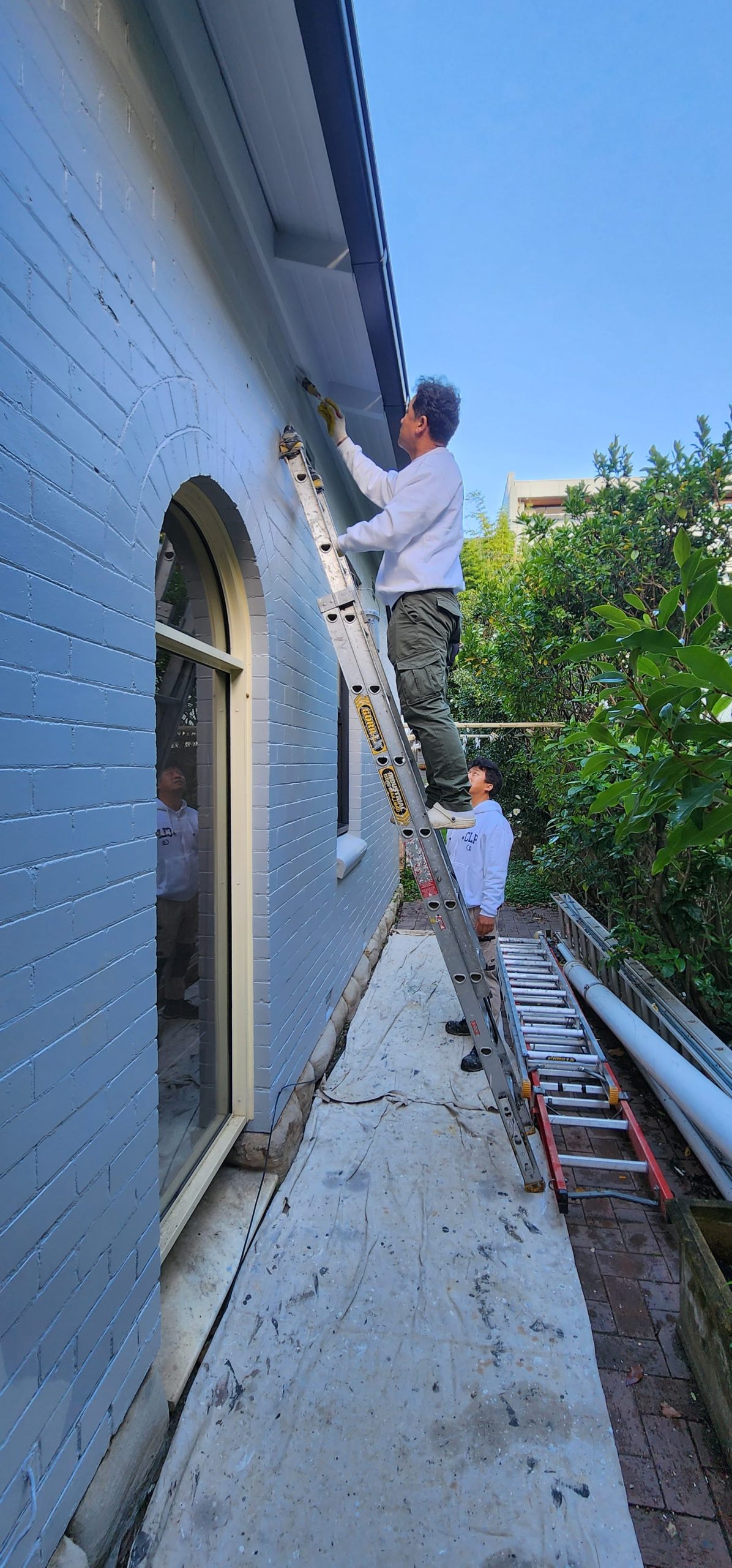 residential-painting-neutral-service